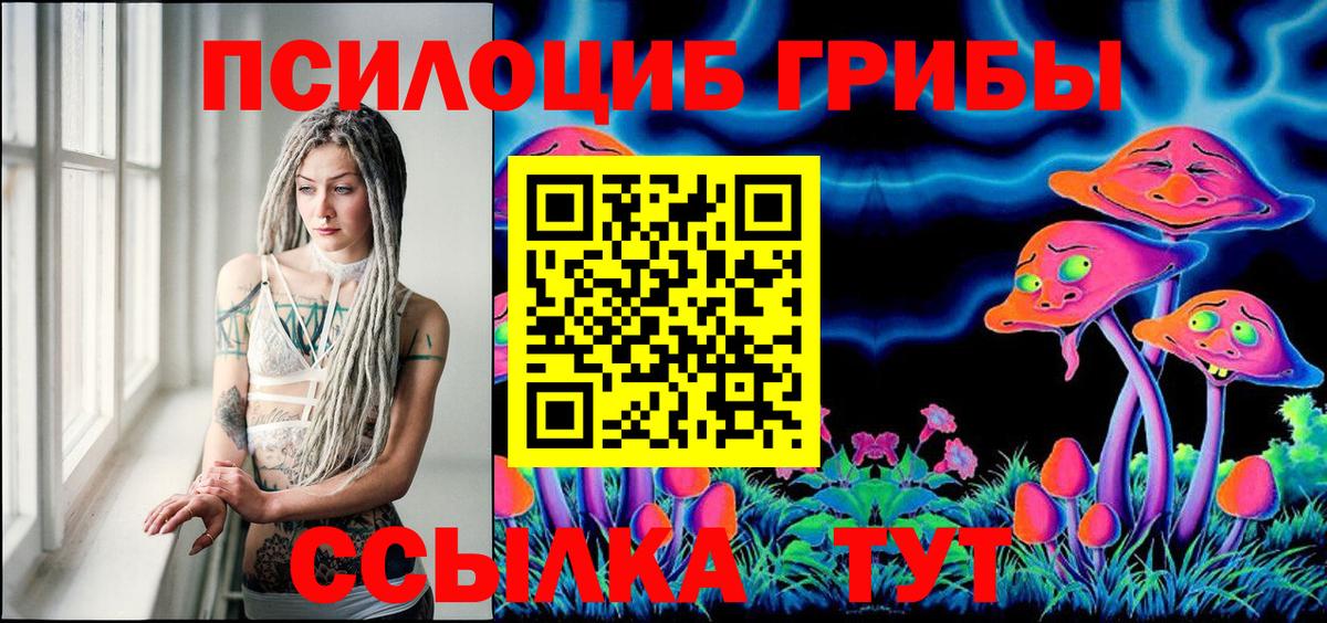 Псилоцибиновые грибы Psilocybine cubensis  Вход с VPN  Псилоцибиновые грибы MAGIC MUSHROOMS  Благодарный 